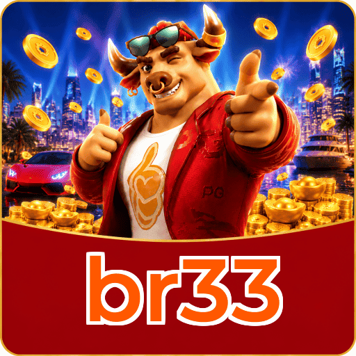 br33